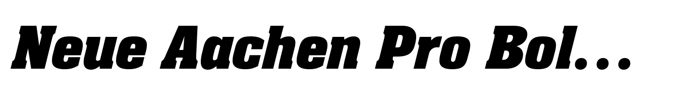 Neue Aachen Pro Bold Italic